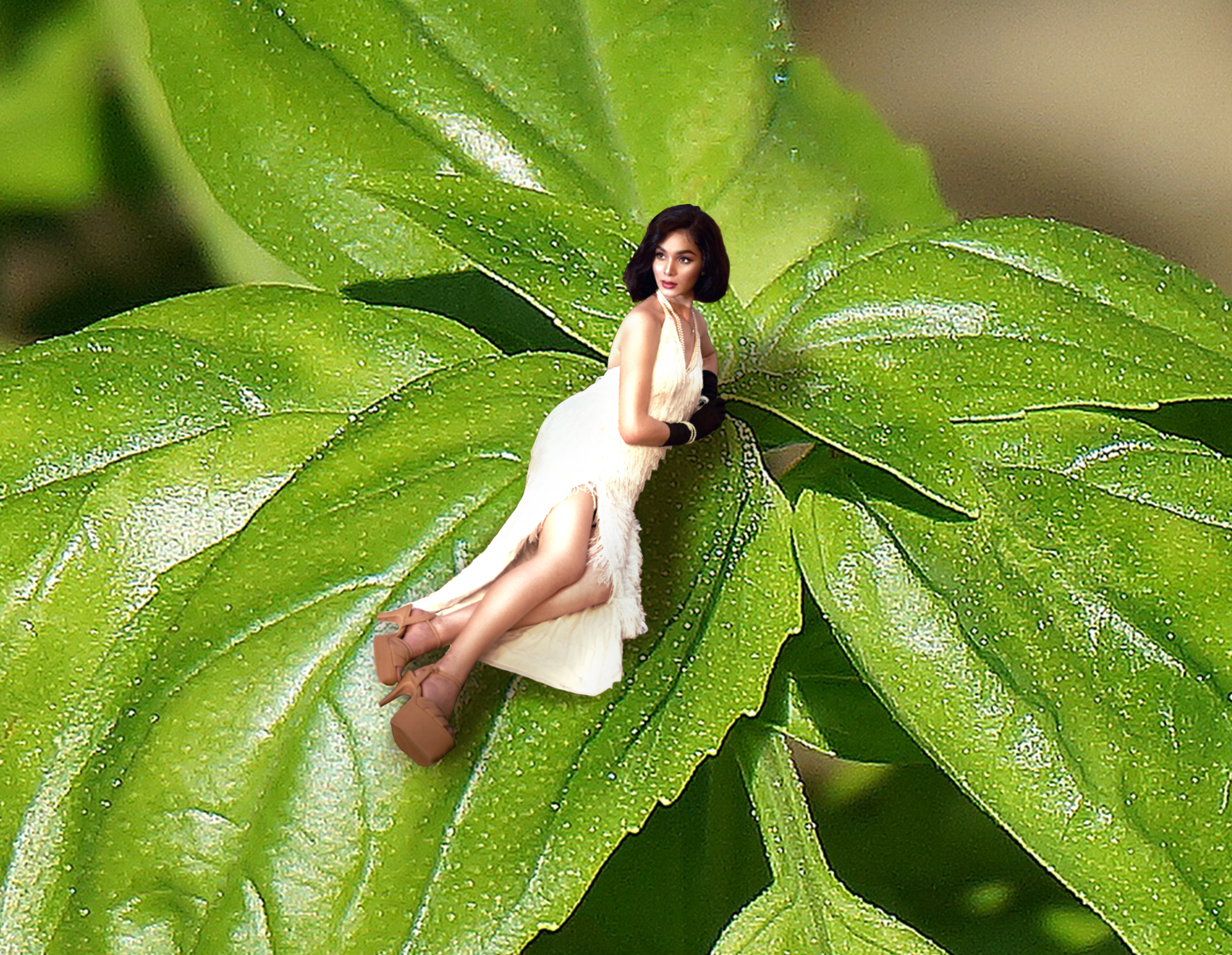 Picture of shrunken person lying on basil leaf