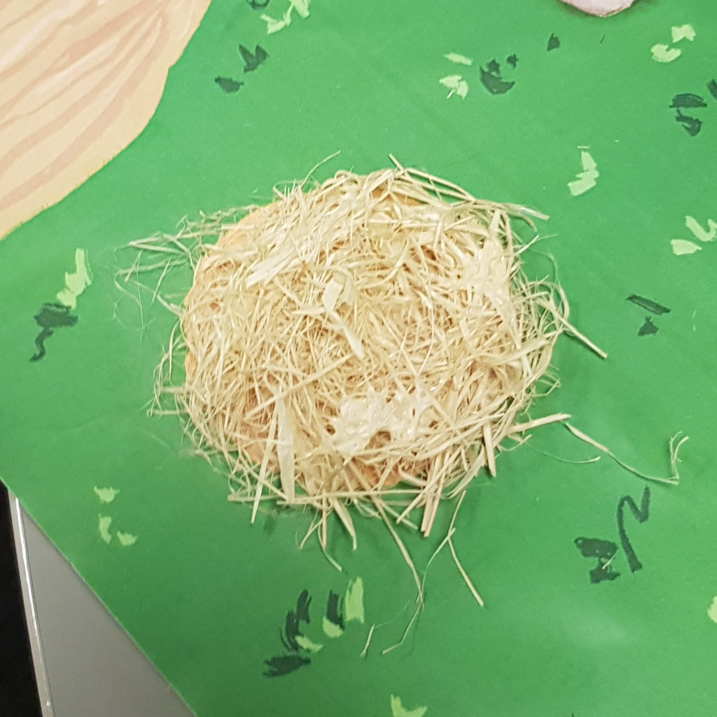 Hay made from raffia wool